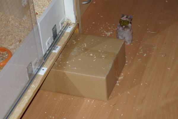 sonstiges hamster3 img0141