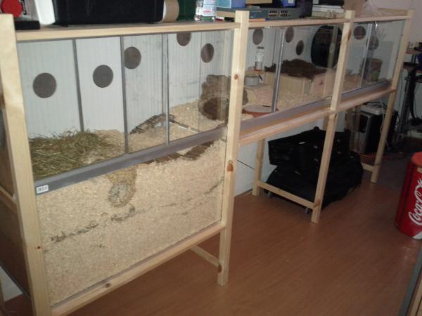 sonstiges hamster img0002