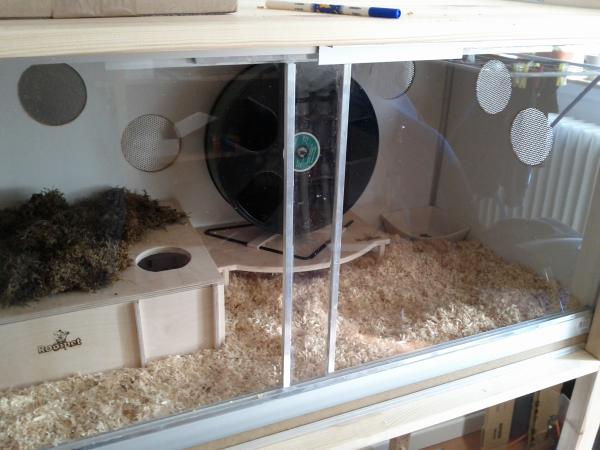 sonstiges hamster img0003