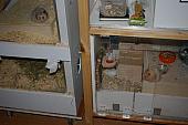 sonstiges hamster5 img0583