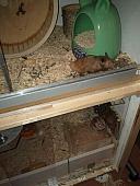 sonstiges hamster3 img0064