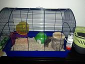 sonstiges hamster img0008