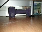 sonstiges hamster4 img0048