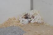 sonstiges hamster5 img0007