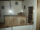 sonstiges hamster5 img0085