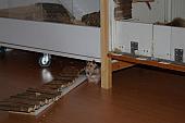 sonstiges hamster5 img0144