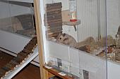 sonstiges hamster5 img0174