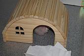 sonstiges hamster5 img0239