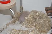 sonstiges hamster5 img0330