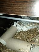 sonstiges hamster5 img0201