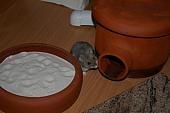 hamster 2013 img0097