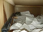 sonstiges hamster5 img0481