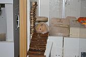 hamster 2013 img0032