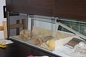 sonstiges hamster4 img0036